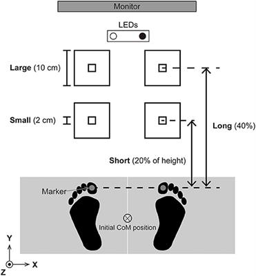 Variability in the Center of Mass State During Initiation of Accurate Forward Step Aimed at Targets of Different Sizes